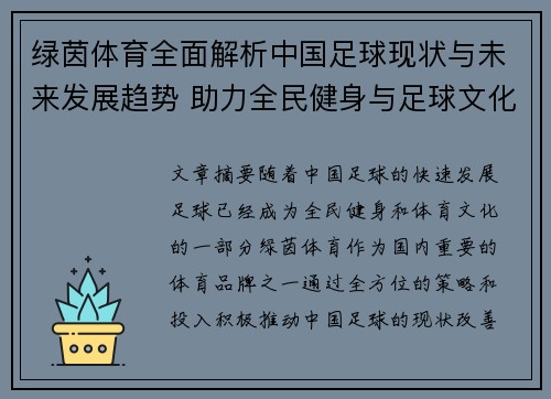 绿茵体育全面解析中国足球现状与未来发展趋势 助力全民健身与足球文化普及